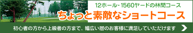 ちょっと素敵なショートコース