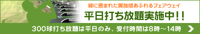 平日打ち放題実施中