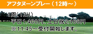 アフタヌーンプレー（12時～）